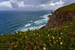 cliff, beach, rain, sea, ocean, atlantik, rugged, portugal, Portugal, photo
