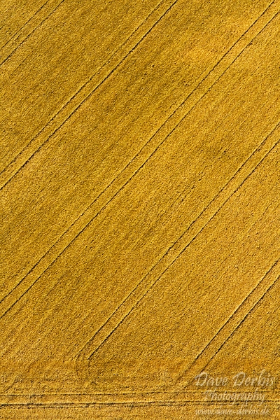 corn, aerial, balloon, vienna, exclusive, edition, austria, april, 1st, photo