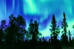 northern lights, aurora, forest, night, arctic, sky, sweden, lapland, 2022, Sweden, photo