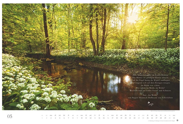 wald, deutschland, kalender, landschaft, 2021, photo