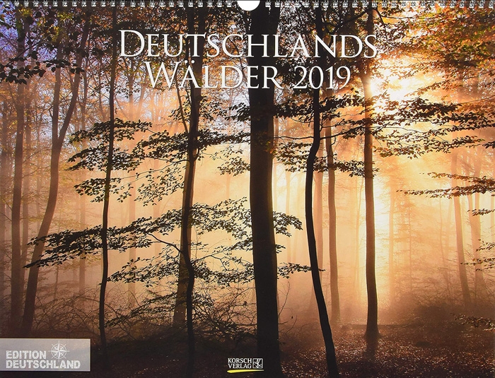 wälder, forest, deutschland, kalender, wandkalender, 2019, photo