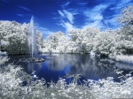 infrared, dream-like, daydream, surreal, dreamscape, germany, 2021, photo