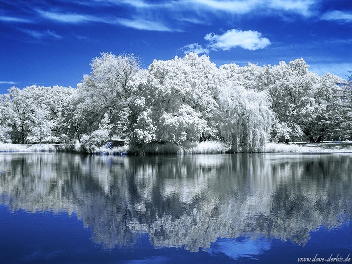 infrared, dream-like, daydream, surreal, dreamscape, germany, 2021, photo