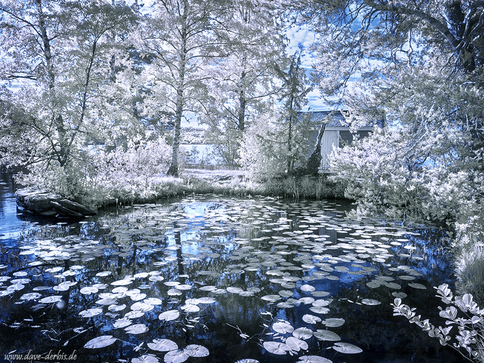 infrared, dream-like, daydream, surreal, dreamscape, germany, 2023, photo