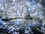 infrared, dream-like, daydream, surreal, dreamscape, germany, 2023, photo
