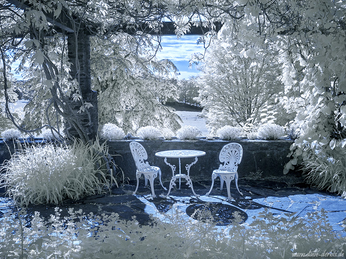 infrared, dream-like, daydream, surreal, dreamscape, germany, 2023, photo