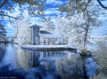 infrared, dream-like, daydream, surreal, dreamscape, germany, 2023, photo