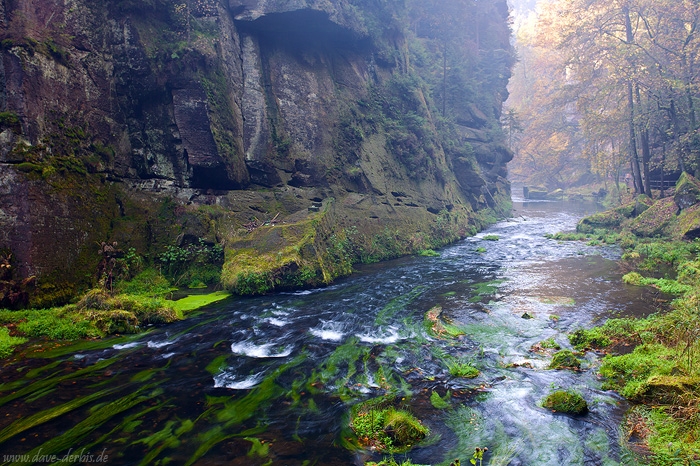forest, valley, river, autumn, kamnitz, bohemian-switzerland, czech republic, 2014, photo