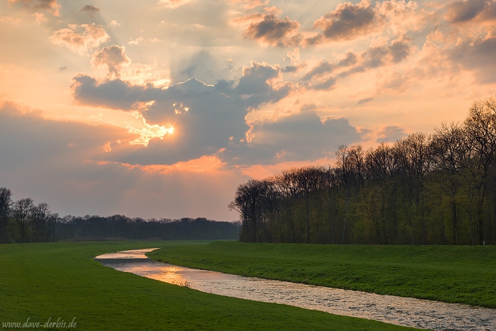 sunset, sun, stream, river, reflection, forest, leipzig, germany, 2019, photo