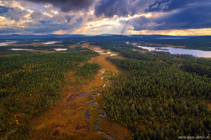 river, aerial, drone, forest, woods, wilderness, lappland, kiruna, sweden, 2024, photo
