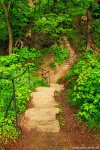 forest, woods, harz, castle, steps, path, mountains, germany, 2023, photo