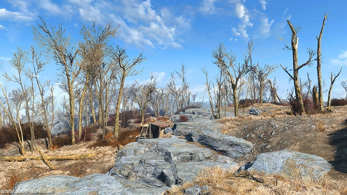 Fallout 4 - 62 Photo fallout 4, game, ingame, photography, screenshot, 2015, 2016, photo