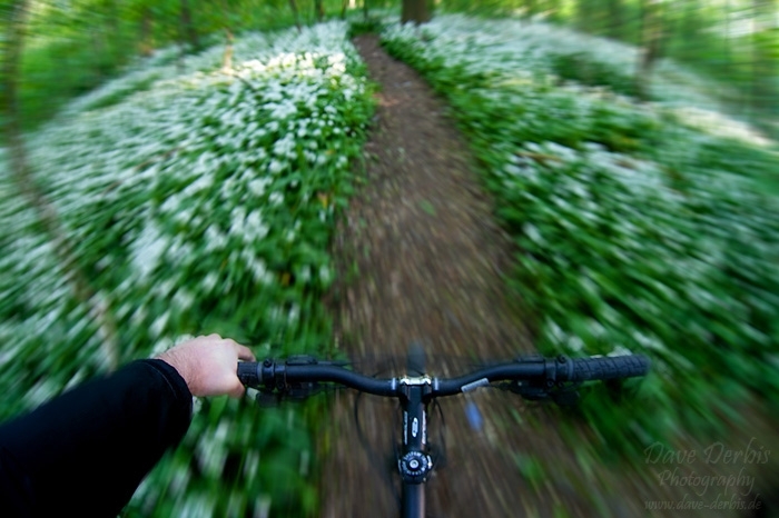 bike, forest, summer, racing, selfie, 2011, germany, photo