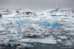 iceland, glaciers, ocean, coast, bay, glacierbay, morning, canon, assignment, remote, rare, striking, beauty, blue, white, atlantic, sea, photo