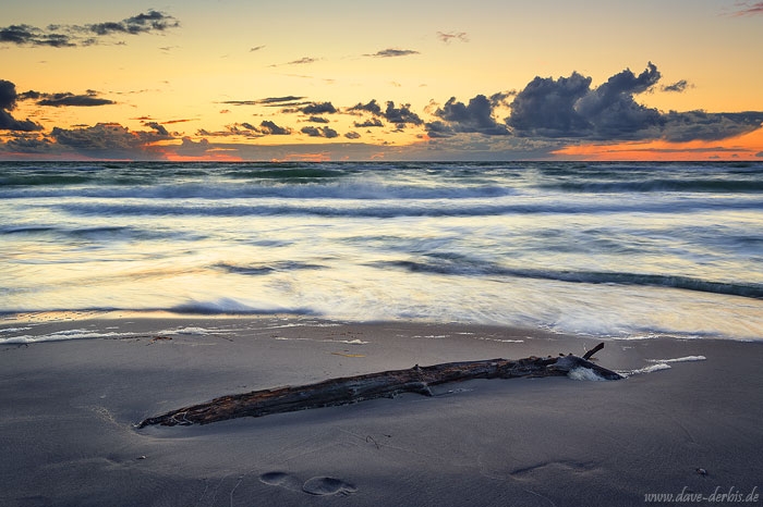 sunset, golden hour, beach, sand, driftwood, coast, baltic sea, weststrand, germany, 2020, photo