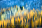 abstract, lake, reflection, autumn, fall, trees, mountains, alpes, dolomites, italy, 2025, photo