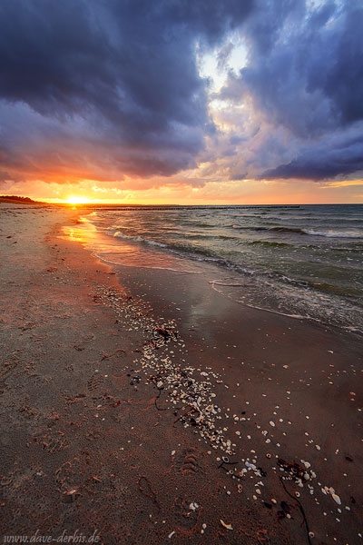 sunset, golden hour, baltic sea, sun, beach, zingst, germany, 2020, photo