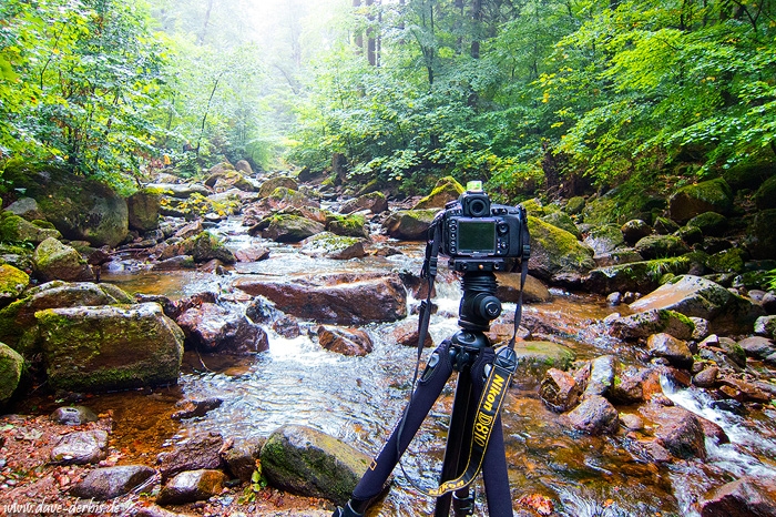 harz, rain, forest, camera, making of, geetings, from, germany, 2016, photo