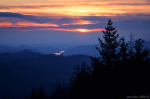 harz, sunset, mountains, lake, silhouette, blue hour, forest, tree, woods, germany, 2025, photo