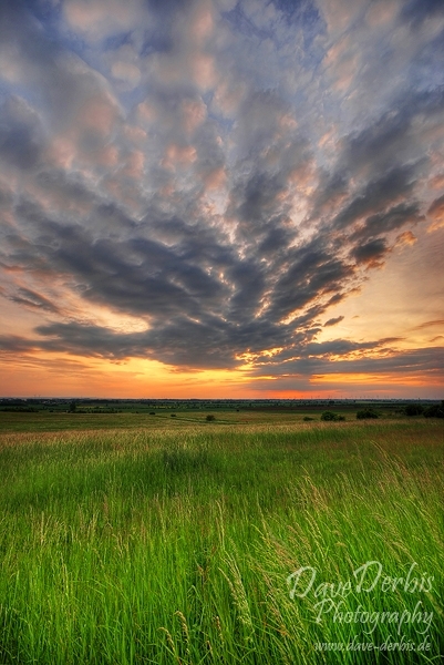 field, sunset, grass, brumby, amazing, striking, light, soft,  clouds, sky, germany, photo