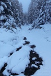 hiking, winter, snow, harz, cold, frozen, tree, fir, germany, 2013, Wandern im Harz, photo