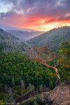 sunset, forest, harz, valley, woods, summer, tree, mountains, germany, 2023, photo