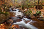 harz, autumn, valley, ilse, cascade, stream, river, forest, ilsetal, ilsenburg, germany, 2013, photo