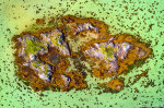 Island Abstract Photo aerial, drone, abstract, island, from above, coast, north, arctic, beach, norway, 2024, The Great North, photo