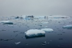 ocean, glacier, bay, ice, iceland, Iceland, photo