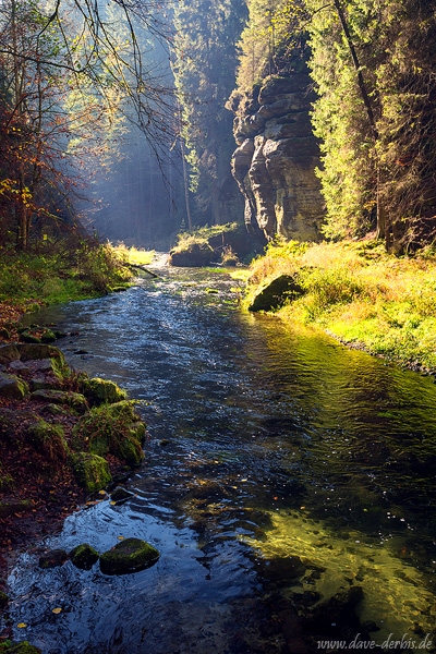 autumn, fall, forest, foliage, river, kamenice, bohemian switzerland, czech republic, 2019, photo