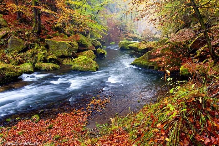 forest, valley, river, autumn, kamnitz, bohemian switzerland, czech republic, 2014, photo