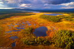 aerial, drone, wilderness, autumn, forest, woods, lake, light, storm, sweden, 2024, photo