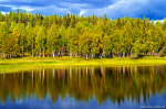 lapland, forest, water, lake, reflection, tree, sweden, autumn, 2024, photo