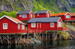rorbuer, hut, lofoten, mountains, arctic, fjord, ocean, rugged, norway, 2024, photo