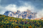 forest, foliage, autumn, fog, woods, alps, dolomites, mountains, misty, italy, 2025, photo
