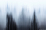 abstract, rain, fog, forest, woods, tree, autumn, mood, harz, germany, 2025, photo