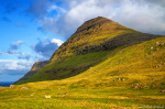 Mountain and sheep at Syðrugøta Photo mountain, coast, golden hour, sheep, ocean, north, arctic, faroe island, 2025, The Great North, photo