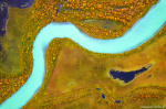 abstract, river, topdown, aerial, drone, wilderness, autumn, fall, foliage, sweden, arctic, lapland, 2024, photo