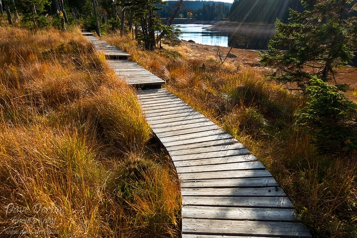 hiking, harz, oderteich, trail, tour, steg, 2012, photo
