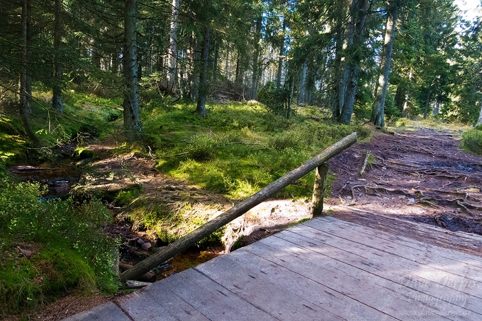 hiking, harz, oderteich, trail, tour, 2012, photo
