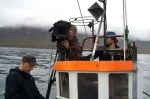 phototours, boat, tours, Isafjordur, expedition, iceland, island, photo