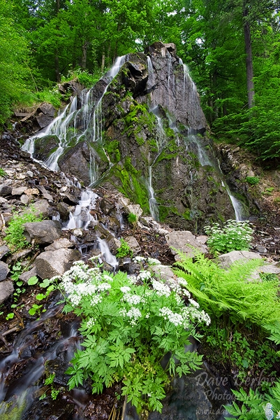 waterfall, stream, harz, summer, forest, germany, 2008, photo