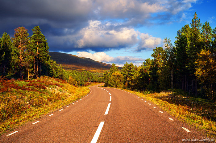 roadshot, lapland, arctic, golden hour, autumn, light, street, sweden, 2024, photo