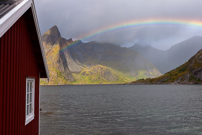 rainbow, norway, lofoten, fjord, mountain, reine, photo