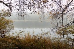 fog, harz, lake, tree, shelter, fir tree, germany, 2012, Stock Images Germany, photo
