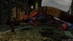 skyrim, game, ingame, photography, screenshot, the elder scrolls 5, special edition, 2016, photo