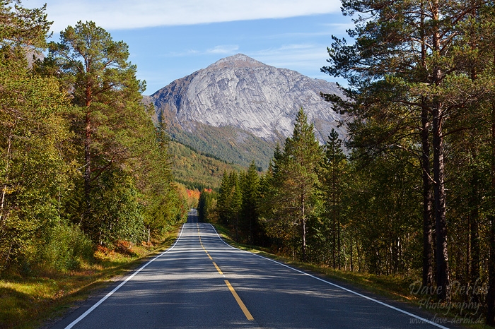 roadshot, road, forest, mountain, northern, norway, 2013, photo