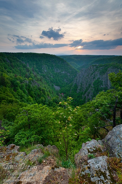 harz, summer, sunset, valley, clouds, thale, germany, photo