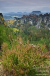 forest, national park,  autumn, sachsen, saxony, saxon switzerland, germany, photo