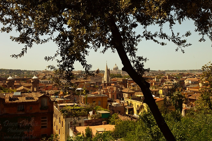 rome, summer, city, blue bird, basilica, italy, photo